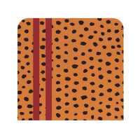 Fire Cheetah